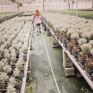 Meet your Posher, Mia